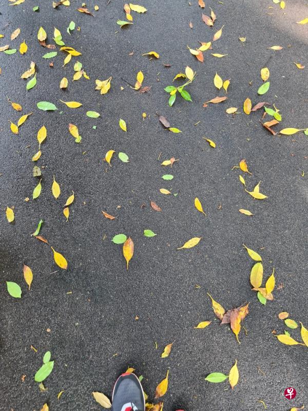 （蔡深江摄影）