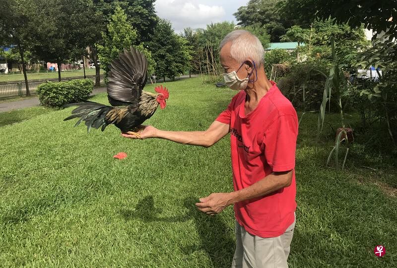 严世忠从小在芽笼3巷长大，非常庆幸自己这么多年来能住在这里，但也惋惜搬到组屋无法再养鸡。