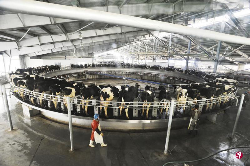 佳发公司脱售东南亚乳制品业务后，将着重发展中国、印尼和越南的其他业务。（佳发公司提供）