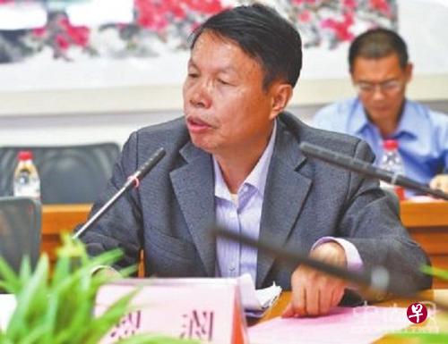 暨南大学经济学院教授陈恩认为，位于粤港澳大湾区内的中国与新加坡的国家级合作项目中新广州知识城，经十年建设，目前发展成效显著，外界已有“北有中关村，南有知识城”之说。（互联网）