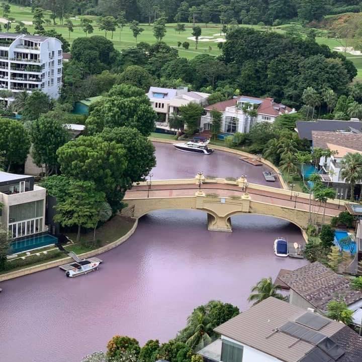 受影响的水域水体也出现颜色变化。（取自面簿）