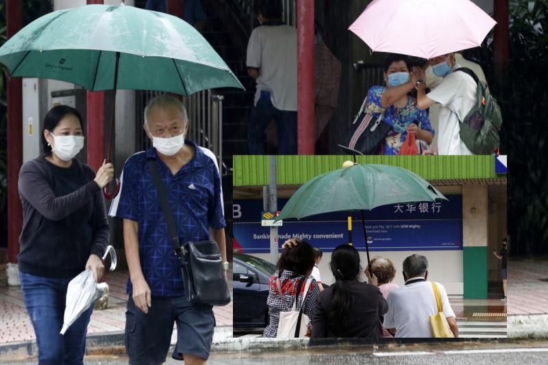 杨丽晶（左）在雨天到珍珠坊旁边的斑马线为路人撑伞。小图：杨丽晶（黑衣）上星期日为三名没撑伞的年长者撑伞过马路。（梁麒麟摄）