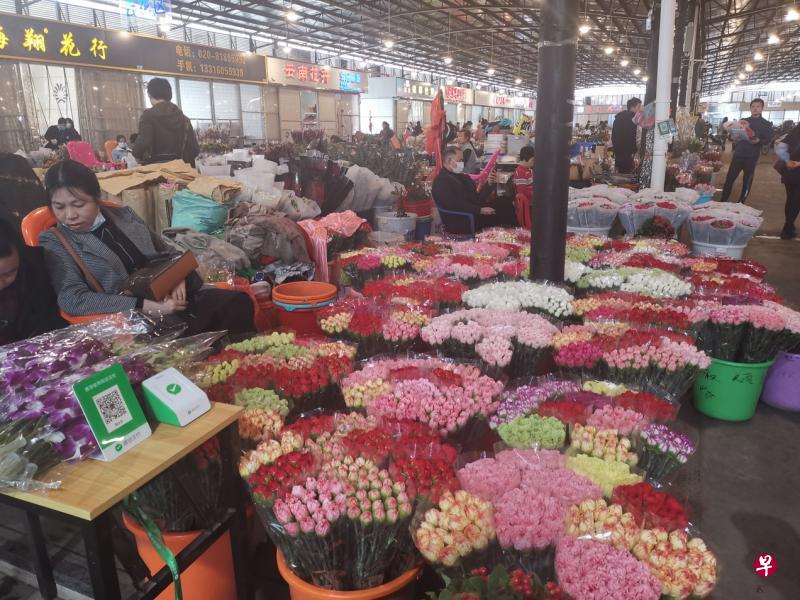 广州岭南花卉市场是华南地区最大的花卉交易市场，年宵花现已大量上市，但现场订货的采购商并不多，大多是附近居民前来采购年花。（曾实摄）