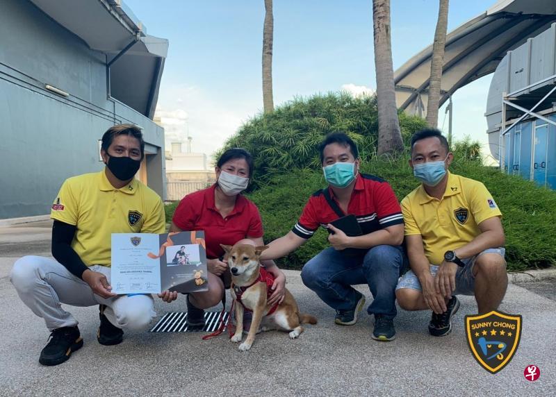 培训完成后，狗主也参加爱犬的结业礼。（受访者提供）