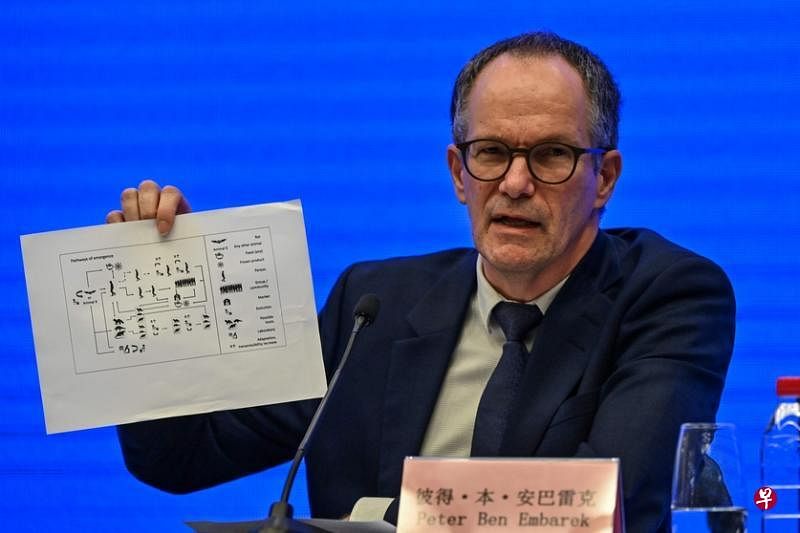 世卫国际专家组组长恩布雷克强调，冠状病毒从原始宿主传播到华南海鲜市场，可能要经过漫长且曲折的路线。（法新社）
