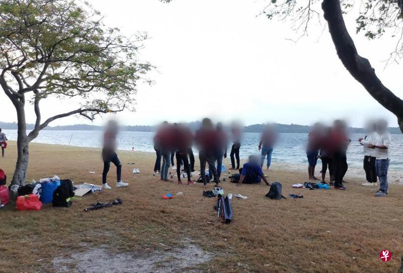 76人在樟宜海滩公园违例被罚款。（国家公园局提供）
