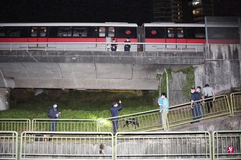 警员带着警犬，在轨道下方的草丛寻找蛛丝马迹。