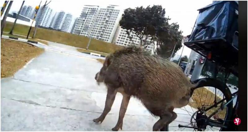 （档案照）