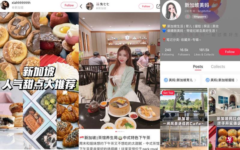 本地博主上传至小红书上内容。（取自xiahhhhhhh、兔七七、新加坡美妈小红书）