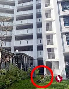 榜鹅组屋10楼抛下脚踏车，一名青年前天被控鲁莽行事。（警方提供） 