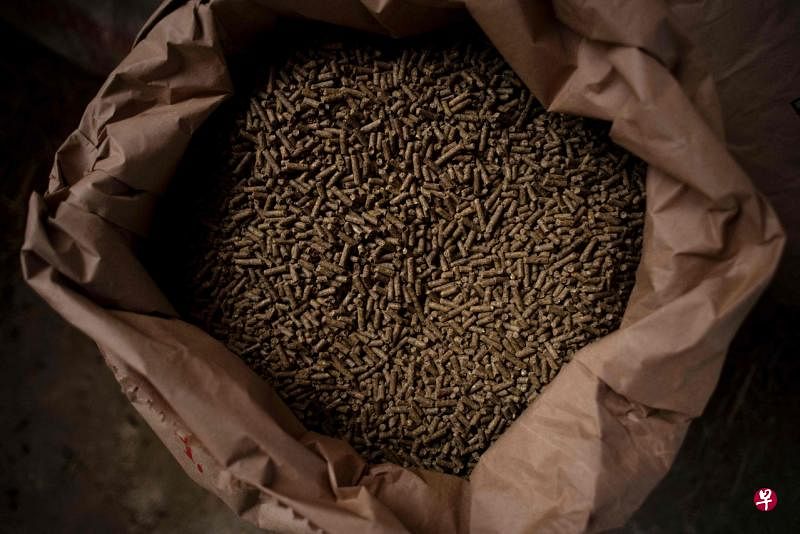 俄罗斯宣布暂时禁止食糖和小麦等谷类出口到欧亚经济联盟。（法新社） 