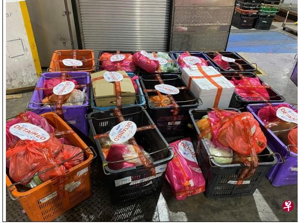 新加坡食品局和移民与关卡局人员发现未申报的436.2公斤蔬菜。（新加坡食品局提供） 