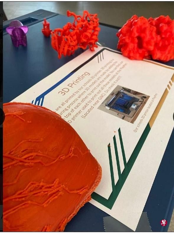 学生在国际科学研究研讨会上参赛的3D打印作品。（安德逊实龙岗初院提供） 