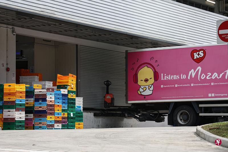 在马来西亚经营养鸡场的其祥食品集团，在6月9日获得申请的鸡只出口准证批准。（李健玮摄） 