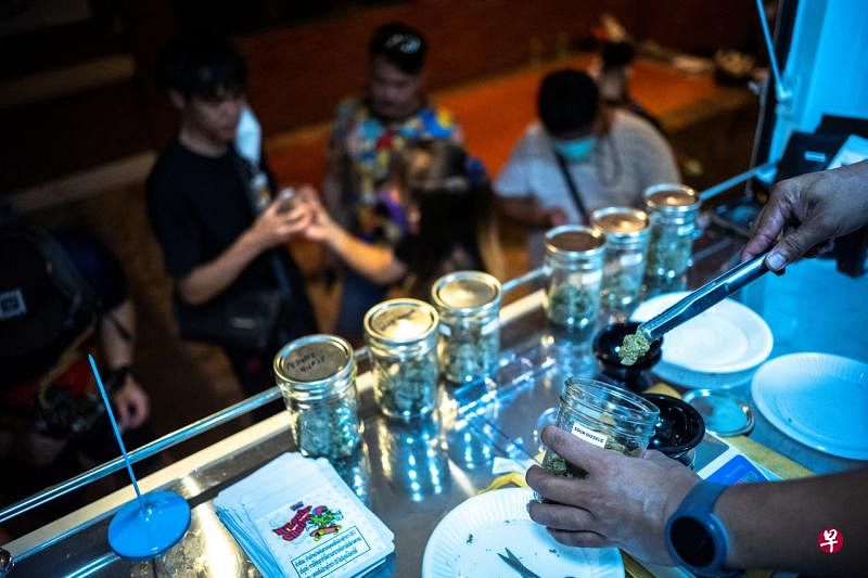 泰国政府决定推出限制措施，只允许20岁以上成人接触大麻。（路透社） 