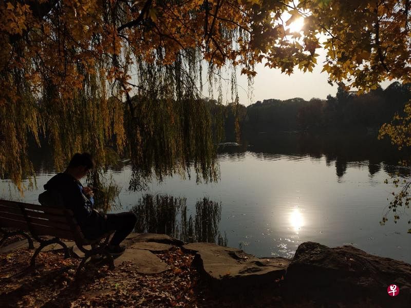 不管今秋是否能回到校园，这一抹风景早已烙印在脑海里。（作者提供） 