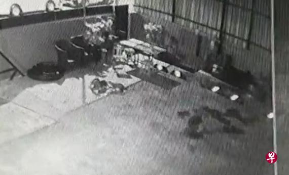 郑先生调阅电眼画面，惊见水獭正在大快朵颐。（受访者提供） 