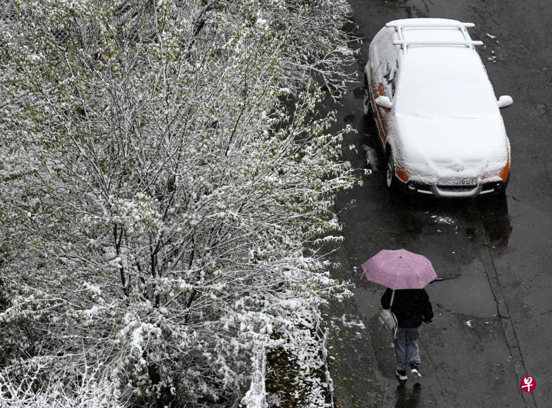 11月17日，乌克兰西部城市利沃夫迎来了第一场降雪。（法新社） 