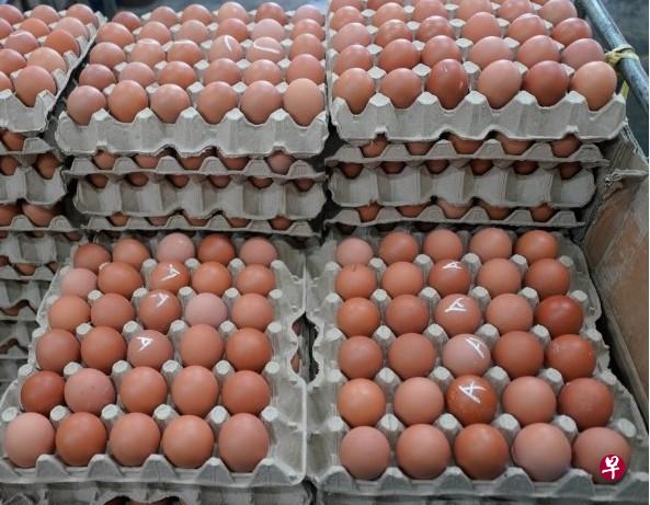 马国首相安华星期一宣布，新任农业及食品安全部长莫哈末沙布星期二将宣布调低蛋价。（星洲日报档案照） 