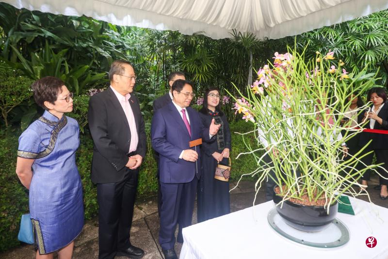 越南总理范明政（右二）和夫人黎氏碧珍在陈诗龙医生（左二）和夫人陈幼星医生的陪同下出席胡姬花命名仪式。（陈斌勤摄） 