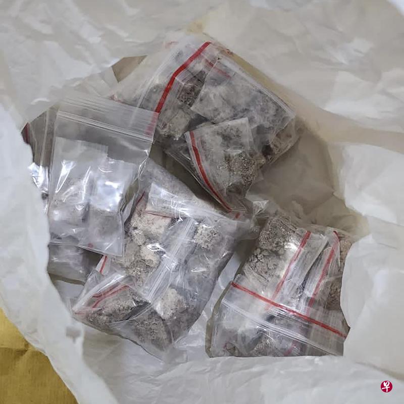 大麻是本地2022年三种最常被滥用的毒品之一，被捕人数为236人，当中61％小过30岁。（肃毒局提供） 