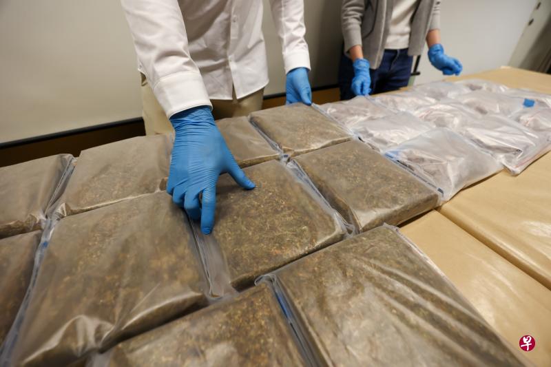 当局去年在执法行动中起获共133.25公斤大麻，同比上升24%。（档案照） 