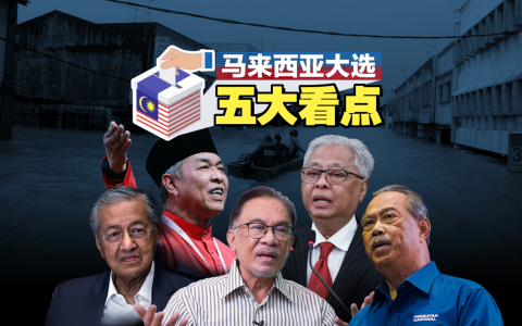 （图/卢芳楷, 侯丽欣）