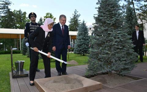 哈莉玛总统在任内会见超过40名国家元首、展开12次国事访问，也是首名对荷兰、德国、沙特阿拉伯、哈萨克斯坦和乌兹别克斯坦做国事访问的我国国家元首。若不是冠病病毒来袭，她在外交方面的成果肯定更斐然。图为她在5月访问乌兹别克斯坦时，与乌国总统米尔济约耶夫植树留念。（档案照片）
