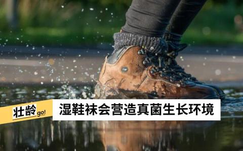 （istock图片）