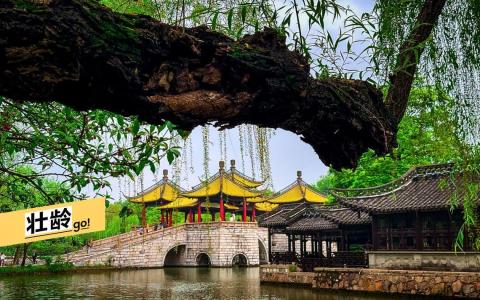 瘦西湖著名的五亭桥集桥与亭于一身，五亭相连，空中看，形似一朵盛开的莲花。（毕强摄）