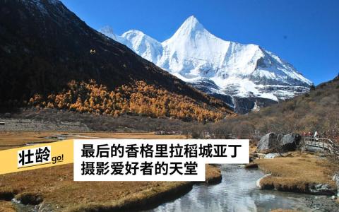 （王雅玉摄　）