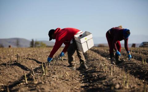 美国民主党过去几十年的政策导致白人工人阶级支持者大幅流失。（彭博社）