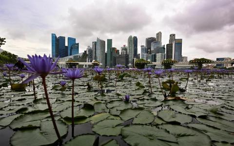 如果无法找到一个能够持久、稳定替代美国市场的方案，曾被热捧的“亚洲世纪”概念，会不会只是镜花水月？（档案照片）