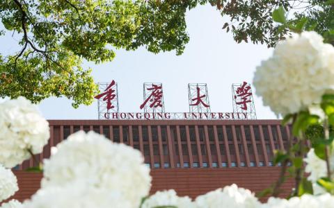 重庆大学学生刘培乔在本科阶段就发表14篇受科学引文索引（SCI）认可的论文，引发质疑。官方最新通报证实，刘培乔为该校研究生院副院长刘作华之女，刘作华已被免职。（重庆大学微博）