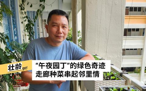 （林伟杰摄　）