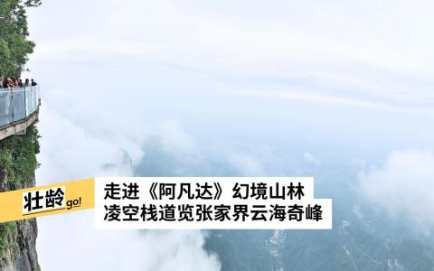 （陈静芳摄　）