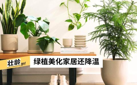 （（互联网））