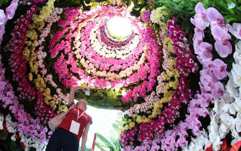 位于花穹、由逾2000株胡姬花包覆的“超级树”，首次开放内部空间，让访客得以穿梭其中，体验仿佛万花筒的视觉盛宴。（郑一鸣摄）