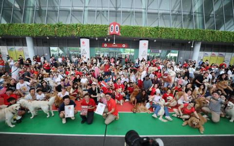 现场不仅汇集各类宠物配件、生活用品与零食，还一举创下两项《新加坡纪录大全》纪录——最大规模的柯基犬聚会与黄金猎犬聚会。（梁麒麟摄）