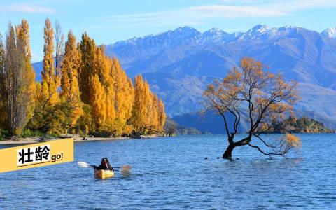 瓦纳卡湖中的孤树，吸引无数摄影爱好者远道而来。（李选楼摄）