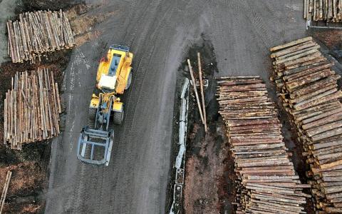 特朗普宣布对进口木材征收10%关税 对橱柜等征收25%关税 