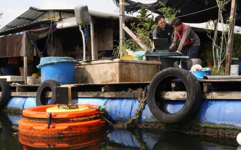 食品局水质监测网络成“救命铃” 助力渔场护鱼群