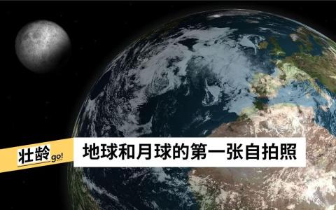 （图片取自Pixabay）