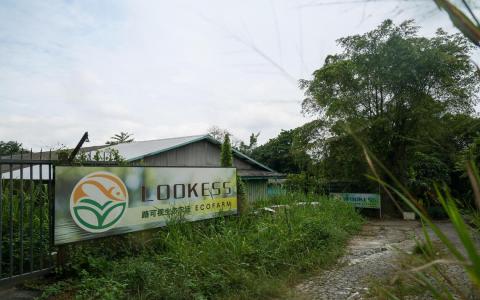 因土地重新发展须迁出 林厝港一家食品农场逾期未搬引执法介入