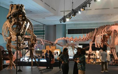 新加坡科学中心历来最大恐龙展 让访客反思人类对地球危害