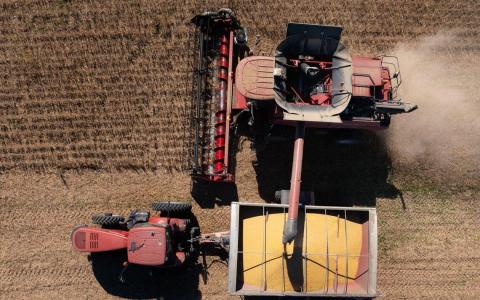 特朗普考虑拒买中国食用油 报复中国不买美国大豆