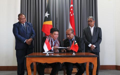 滨海东花园未来三年 种植东帝汶红树林品种 