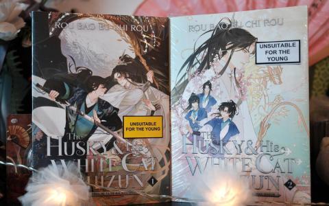 王海婴在中学时期接触网络小说后，不仅阅读中文原版，还专门买英文译本收藏。（受访者提供）