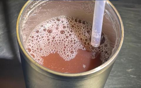 肃毒局提醒国人海外旅游时 避免误饮含卡痛毒饮料