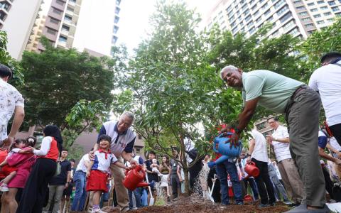 宏茂桥市镇理事会连续第二年达成种1万棵树的目标。在星期天（11月2日）举办的植树日活动中，国务资政李显龙（中）也在芬维尔巷第402座旁的空地亲手种下一棵香灰莉木，以纪念SG60。 （关俊威摄）